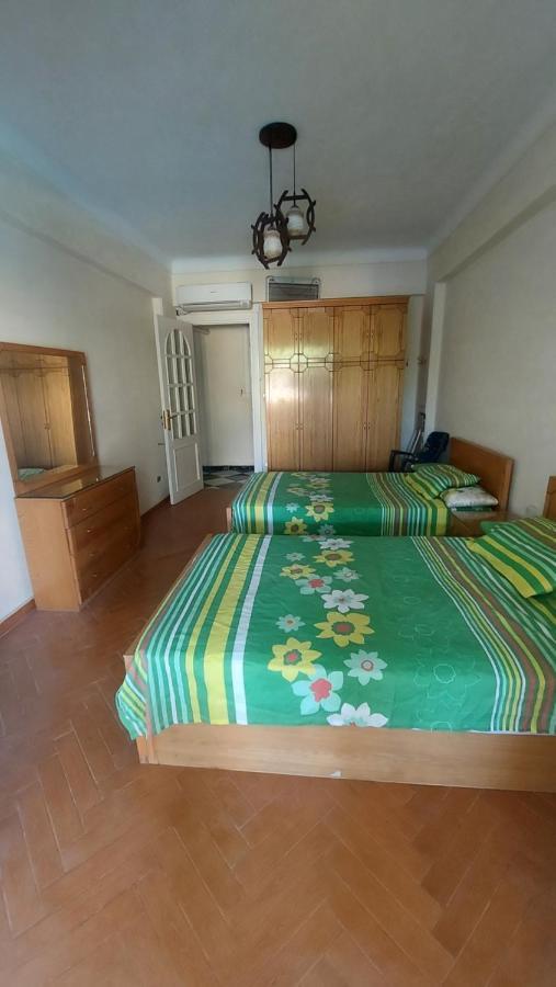 Paradise Villa - King Mariout Kültér fotó